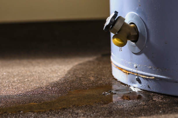 Best Fire Damage Restoration  in Wilderness Rim, WA