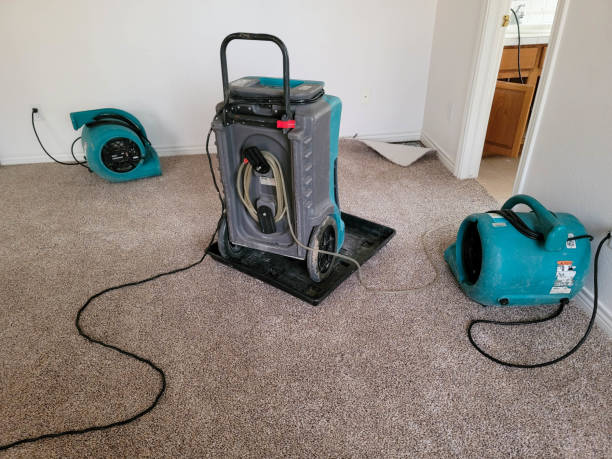 Best Emergency water damage restoration  in Wilderness Rim, WA