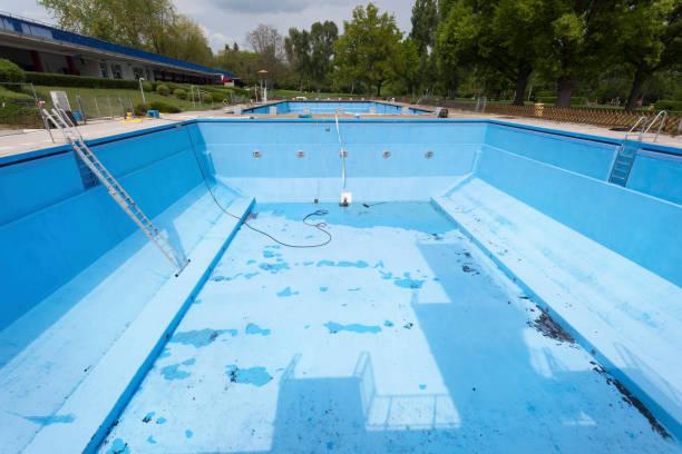 Best Water damage cleanup near me  in Wilderness Rim, WA