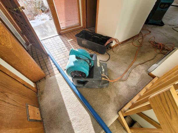 Professional Water damage restoration in Wilderness Rim, WA