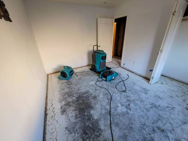 Best Sewage cleanup and water damage restoration  in Wilderness Rim, WA