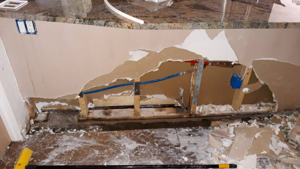 Best Ceiling water damage repair  in Wilderness Rim, WA