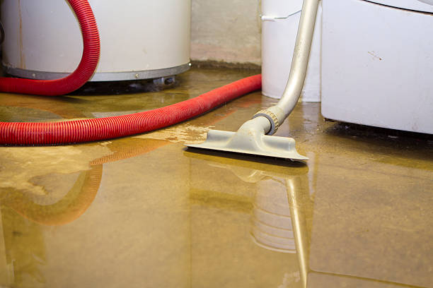 Best Local water damage restoration  in Wilderness Rim, WA
