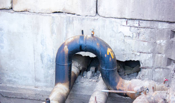 Best Water damage contractors near me  in Wilderness Rim, WA